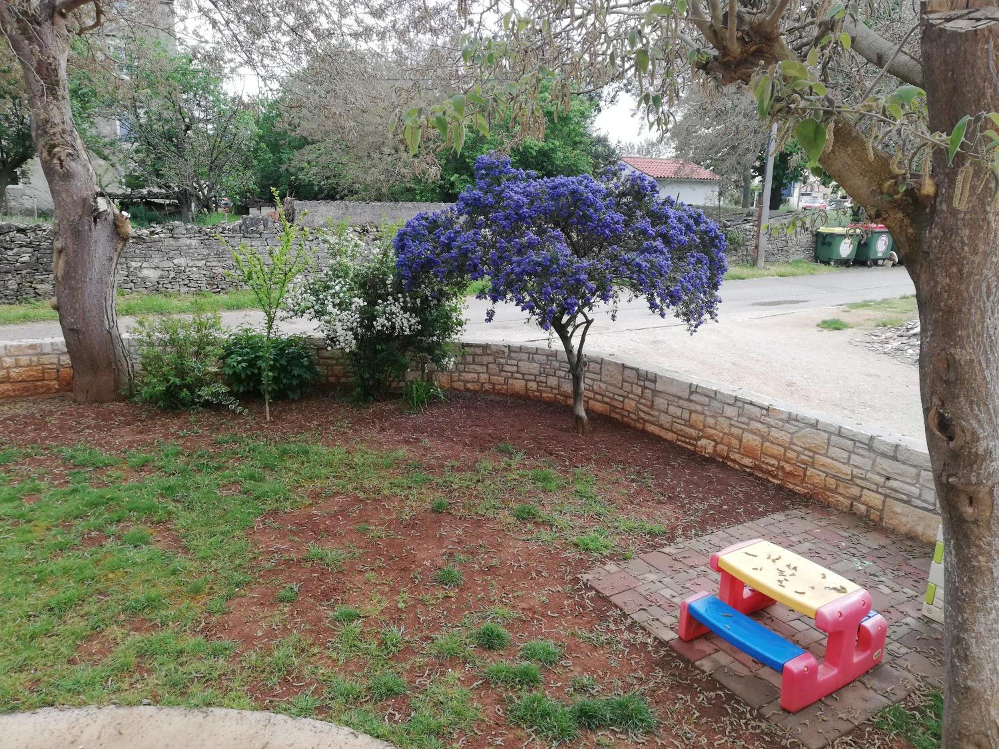 Apartma Martina 1 Basanija